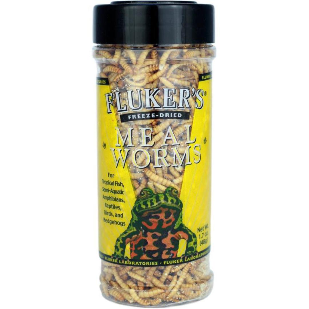 Fluker's  Freeze Dried Mealworms image 0
